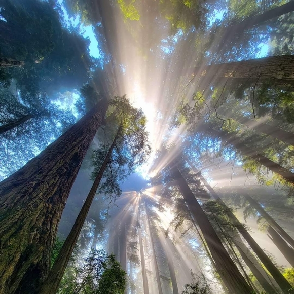 Meet your Posher, Miss - Picture 1 of 1